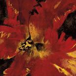 Rosso Fiore I-Citrine-Giclee Print