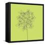 Citron Happy Flower-Jan Weiss-Framed Stretched Canvas