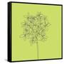 Citron Happy Flower-Jan Weiss-Framed Stretched Canvas