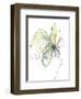 Citron Modern Botanical-Jan Weiss-Framed Art Print