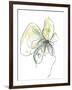 Citron Modern Botanical-Jan Weiss-Framed Art Print