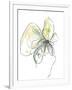 Citron Modern Botanical-Jan Weiss-Framed Art Print