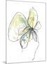 Citron Modern Botanical-Jan Weiss-Mounted Art Print