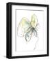 Citron Modern Botanical-Jan Weiss-Framed Art Print