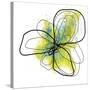 Citron Petals One-Jan Weiss-Stretched Canvas