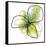 Citron Petals One-Jan Weiss-Framed Stretched Canvas