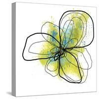 Citron Petals One-Jan Weiss-Stretched Canvas