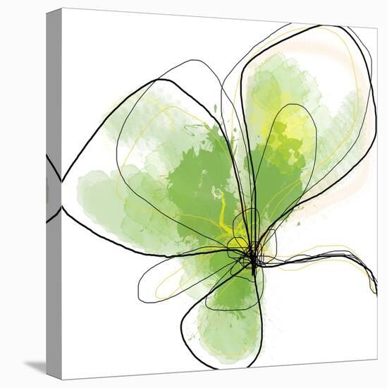 Citron Petals Three-Jan Weiss-Stretched Canvas