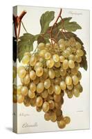 Citronelle Grape-A. Kreyder-Stretched Canvas