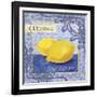 Citrons-Fiona Stokes-Gilbert-Framed Giclee Print