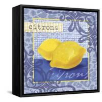 Citrons-Fiona Stokes-Gilbert-Framed Stretched Canvas