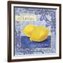 Citrons-Fiona Stokes-Gilbert-Framed Giclee Print