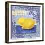 Citrons-Fiona Stokes-Gilbert-Framed Giclee Print
