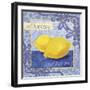 Citrons-Fiona Stokes-Gilbert-Framed Giclee Print