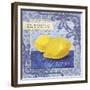 Citrons-Fiona Stokes-Gilbert-Framed Giclee Print