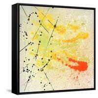 Citrus Bloom-Brent Abe-Framed Stretched Canvas