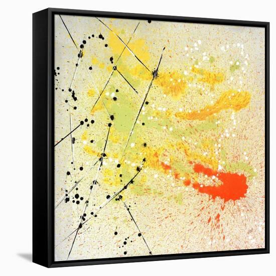 Citrus Bloom-Brent Abe-Framed Stretched Canvas