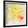 Citrus Bloom-Brent Abe-Framed Giclee Print