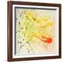 Citrus Bloom-Brent Abe-Framed Giclee Print