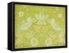 Citrus Chintz I-null-Framed Stretched Canvas