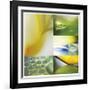 Citrus Drops-Florence Delva-Framed Giclee Print