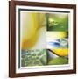 Citrus Drops-Florence Delva-Framed Giclee Print