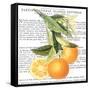 Citrus Edition II-Cory Bannister-Framed Stretched Canvas
