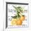 Citrus Edition II-Cory Bannister-Framed Art Print