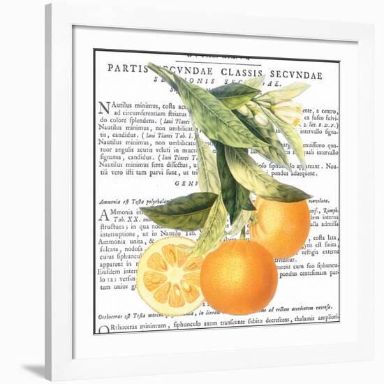 Citrus Edition II-Cory Bannister-Framed Art Print