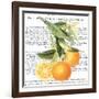 Citrus Edition II-Cory Bannister-Framed Art Print