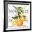 Citrus Edition II-Cory Bannister-Framed Art Print