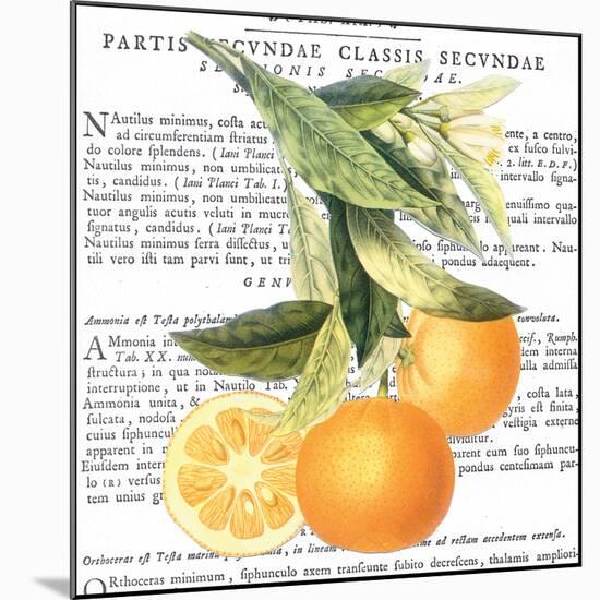 Citrus Edition II-Cory Bannister-Mounted Art Print