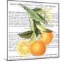 Citrus Edition II-Cory Bannister-Mounted Art Print
