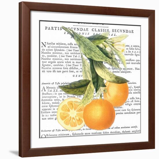 Citrus Edition II-Cory Bannister-Framed Art Print