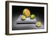 Citrus Family-Christophe Verot-Framed Giclee Print