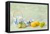 Citrus Fruit Still Life Against a Grunge Textured-Anyka-Framed Stretched Canvas