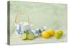 Citrus Fruit Still Life Against a Grunge Textured-Anyka-Stretched Canvas