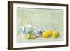 Citrus Fruit Still Life Against a Grunge Textured-Anyka-Framed Photographic Print