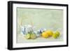 Citrus Fruit Still Life Against a Grunge Textured-Anyka-Framed Photographic Print