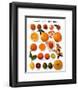 Citrus Fruit-null-Framed Art Print