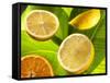 Citrus Fruits on Banana Leaves-Christophe Madamour-Framed Stretched Canvas