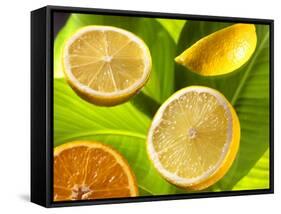 Citrus Fruits on Banana Leaves-Christophe Madamour-Framed Stretched Canvas