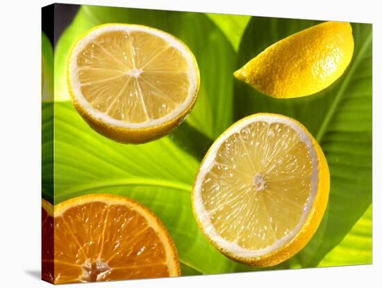 Citrus Fruits on Banana Leaves-Christophe Madamour-Stretched Canvas