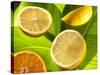 Citrus Fruits on Banana Leaves-Christophe Madamour-Stretched Canvas