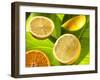 Citrus Fruits on Banana Leaves-Christophe Madamour-Framed Photographic Print