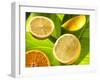 Citrus Fruits on Banana Leaves-Christophe Madamour-Framed Photographic Print