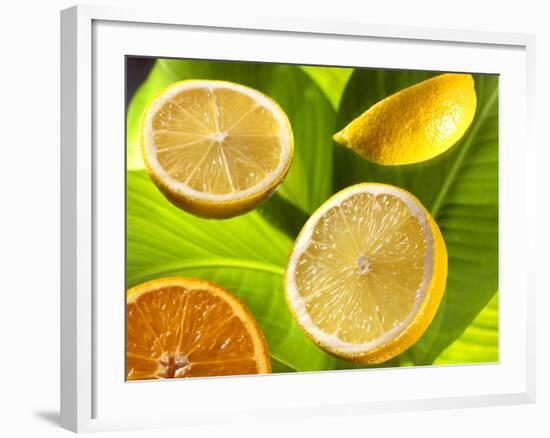 Citrus Fruits on Banana Leaves-Christophe Madamour-Framed Photographic Print