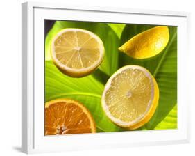 Citrus Fruits on Banana Leaves-Christophe Madamour-Framed Photographic Print