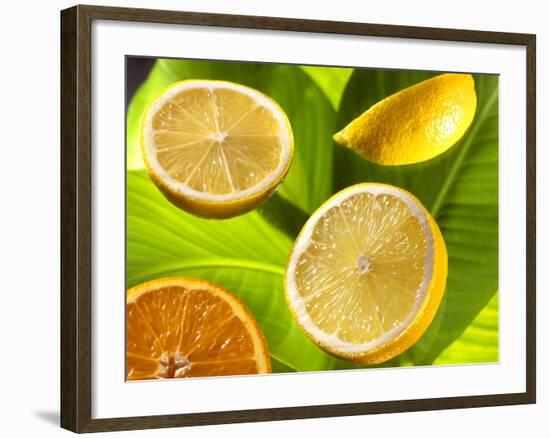 Citrus Fruits on Banana Leaves-Christophe Madamour-Framed Photographic Print