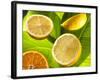 Citrus Fruits on Banana Leaves-Christophe Madamour-Framed Photographic Print